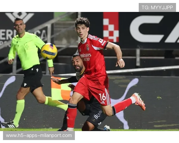 本菲卡对南美市场加大押注，葡超豪门动作频频